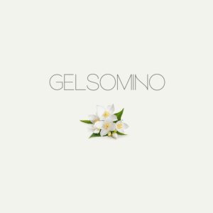 Gelsomino