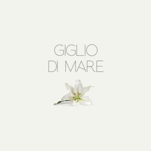 Giglio Di Mare