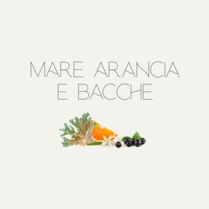 Mare Arancia E Bacche