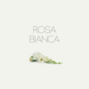 Rosa Bianca