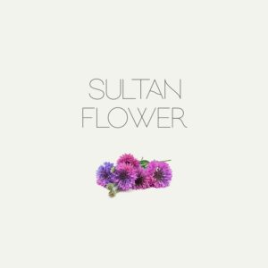 Sultan Flower