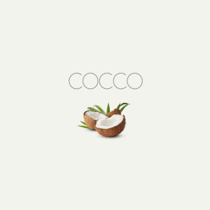 Cocco