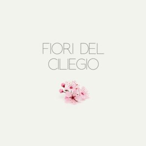 Fiori Del Ciliegio