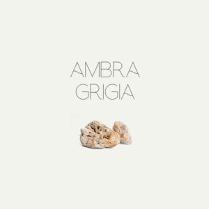 Ambra Grigia