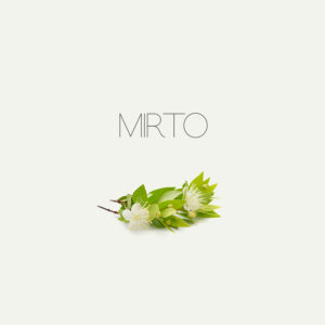 Mirto