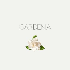 Gardenia