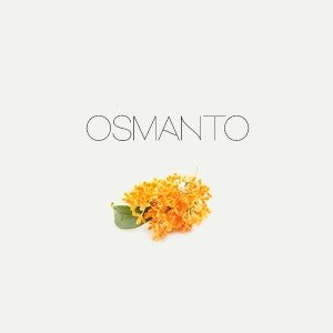 Osmanto