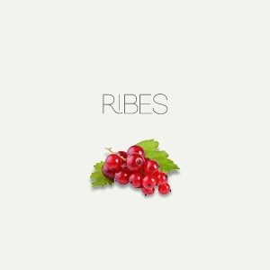 Ribes
